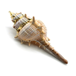 КР179 Кулон из ракушки 17*9мм, серебристый