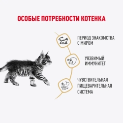 Royal canin kitten maine coon 85 г пауч влажный рацион для кошек породы мейн-кун в возрасте от 3 до 15 месяцев