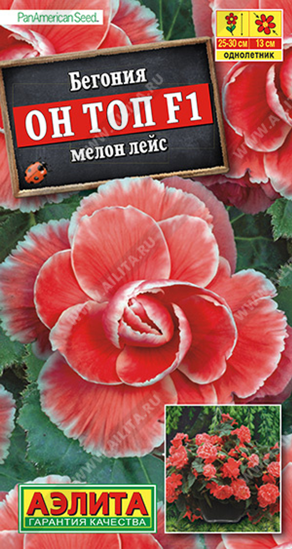 Бегония Он Топ F1 Мелон лейс 5 шт (Аэлита)