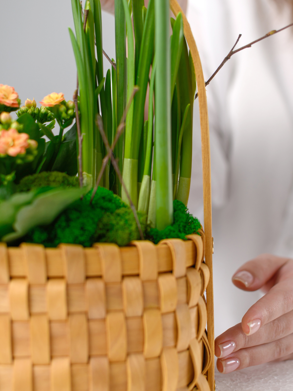 Лучик солнца