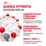 Royal Canin Maine Coon Adult Корм сухой сбалансированный для взрослых кошек породы Мэйн Кун 4 кг