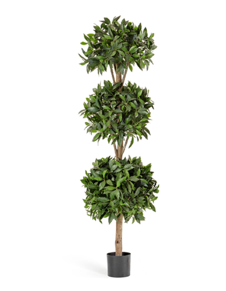 Лавр шар тройной 180 см