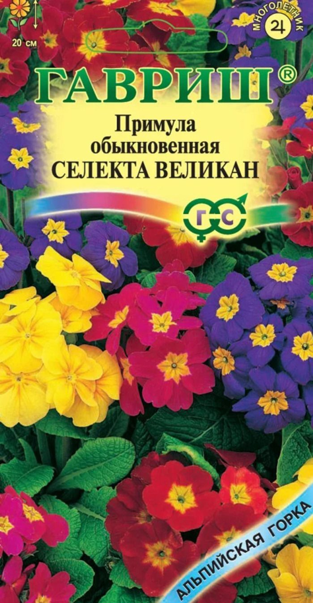 6962050369
