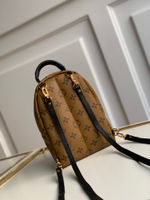 Louis Vuitton Palm Springs Mini