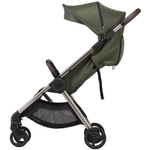 Детская коляска Anex IQ Premium 2 в 1 richi