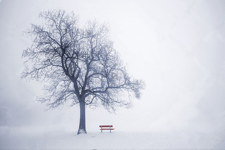 "Скамейка под деревом в метель", фотокартина (репродукция)