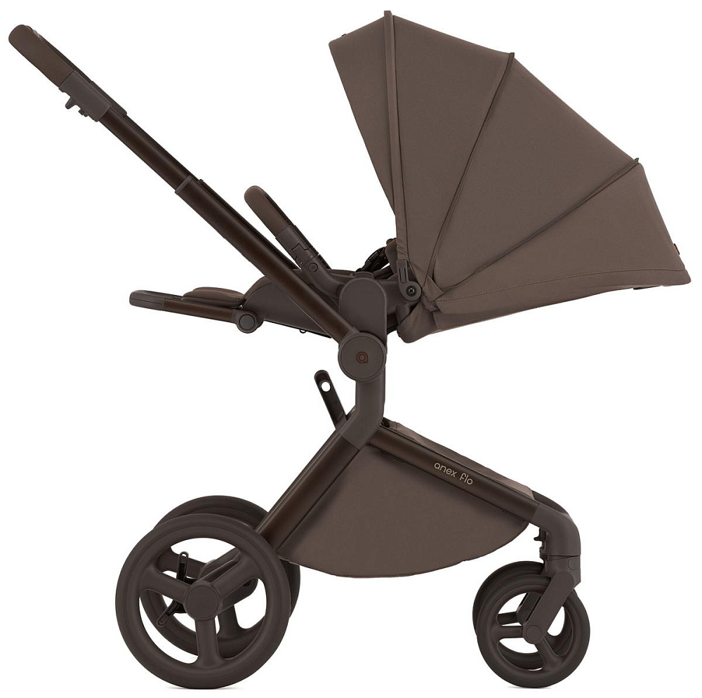 Детская коляска Anex Flo 2 в 1 Browny