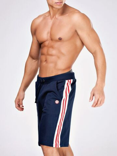 Мужские шорты с лампасами (Размер: XL) (Цвет: серый)