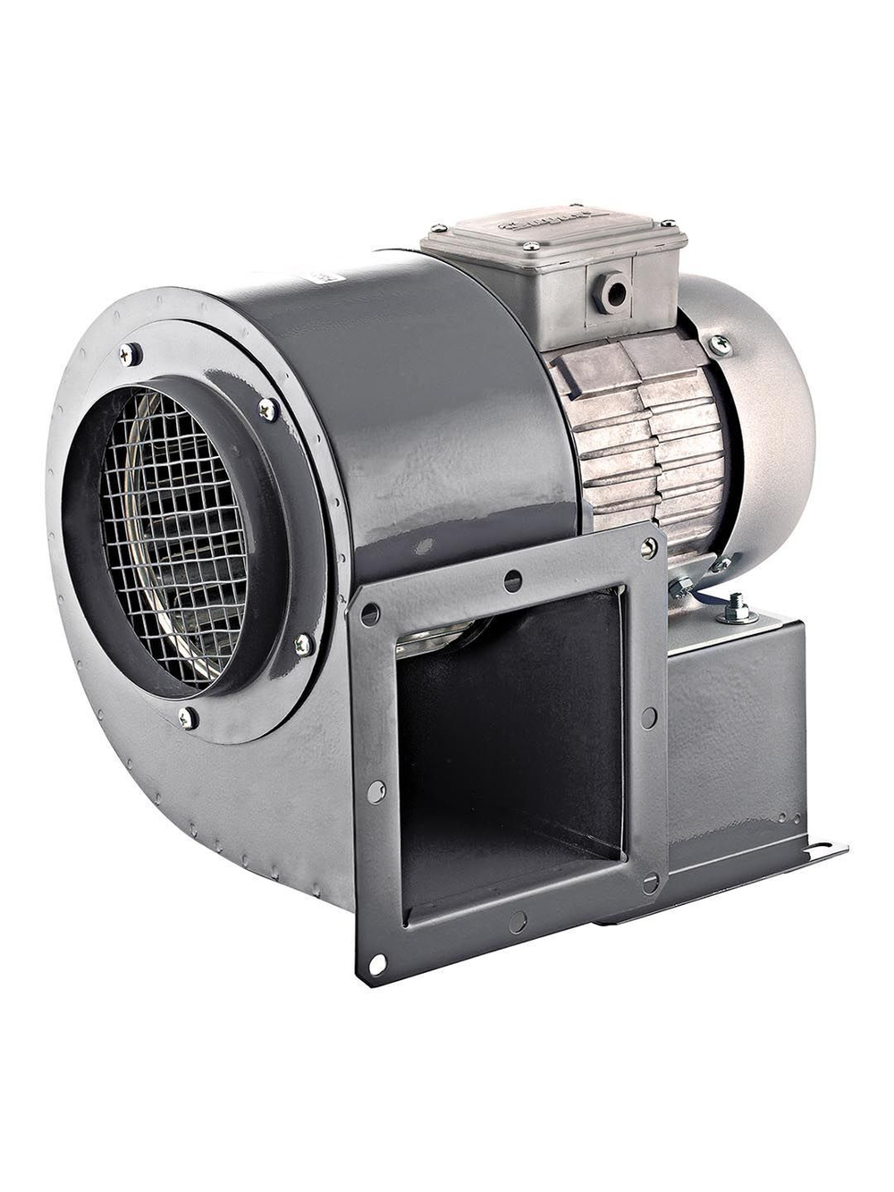 Вентилятор радиальный BURAN 200 220V Пр0 2полюс ERA PRO