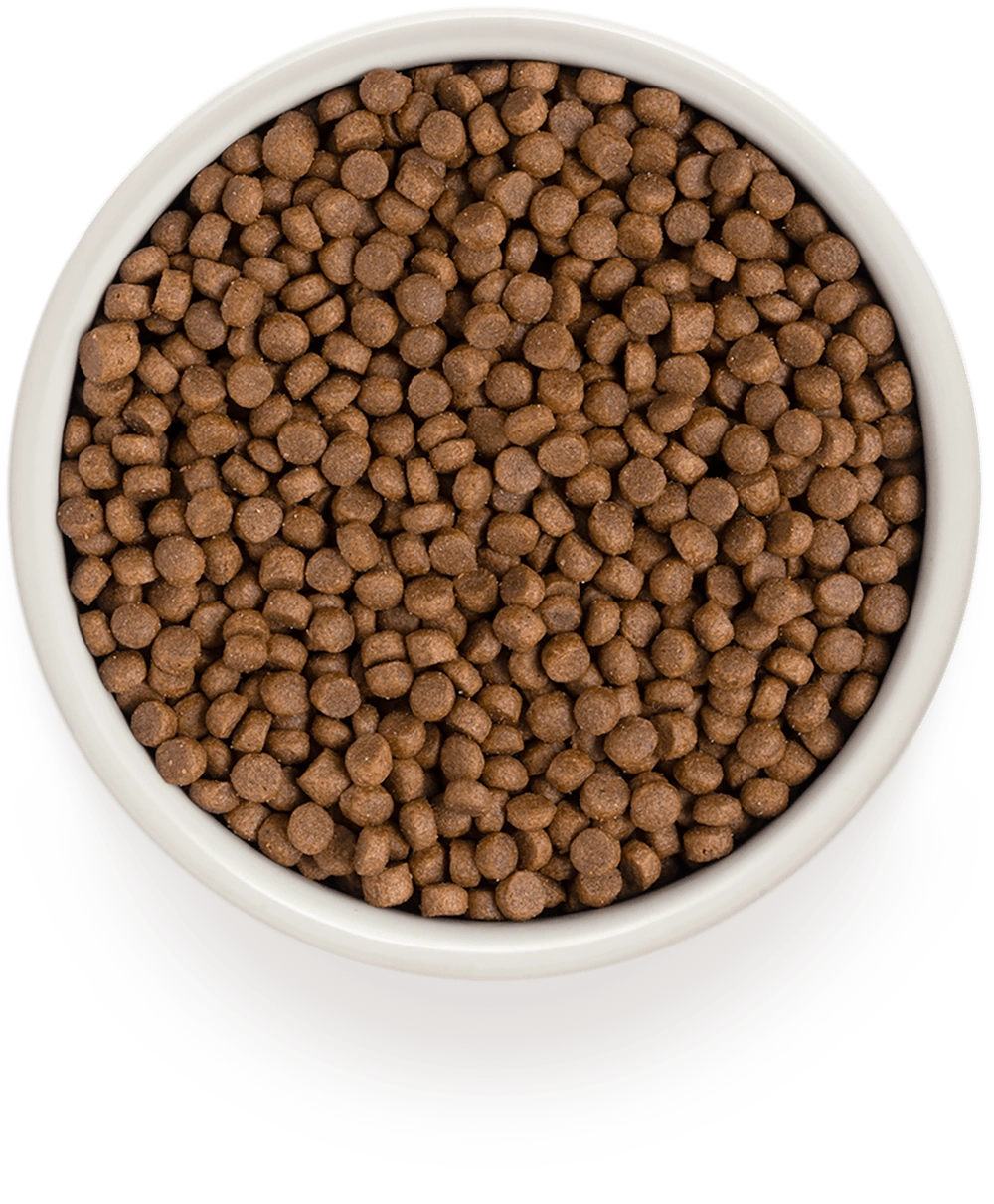 GRANDORF 4 вида мяса Для домашних кошек