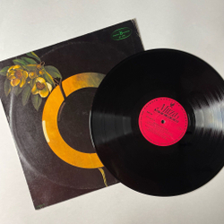 Винтажная виниловая пластинка LP Збигнев Намысловский Zbigniew Namyslowski (Польша 1977)