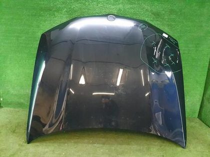 Капот BMW X3 G01 (2017-н.в.) (В пленке)