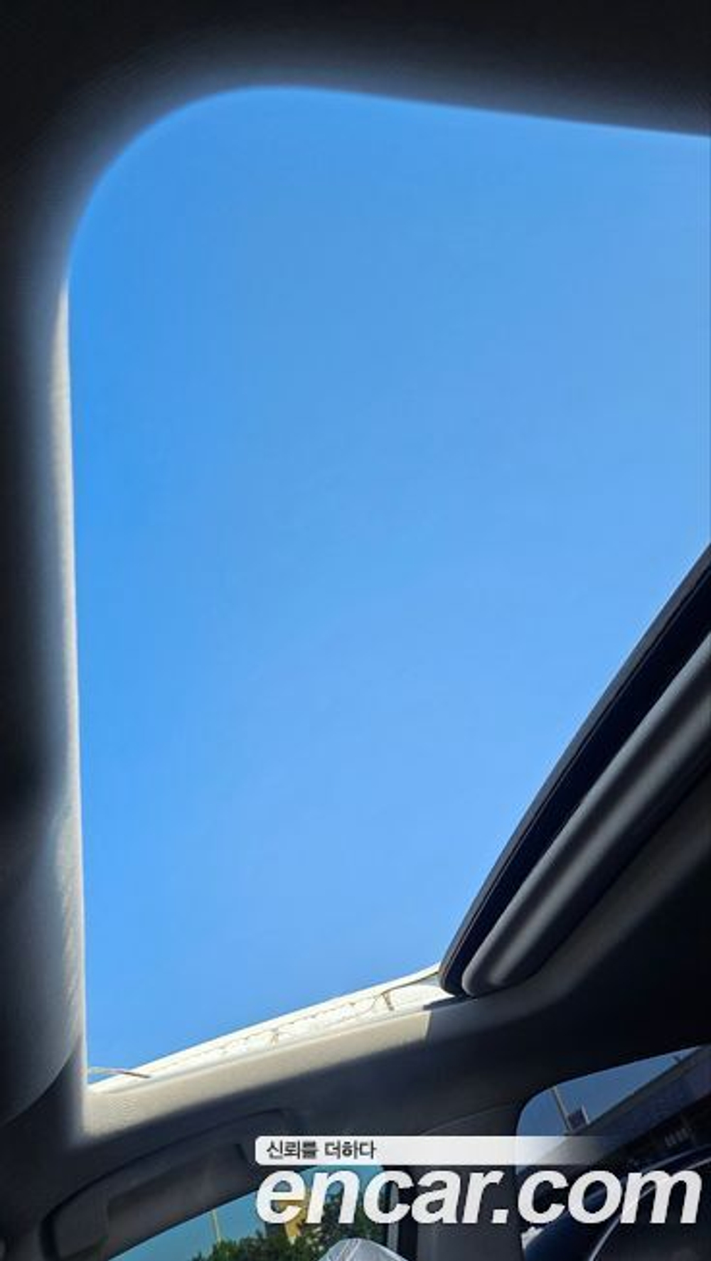 Nissan Altima (L34) 2.5 SL 테크 (12.2019)