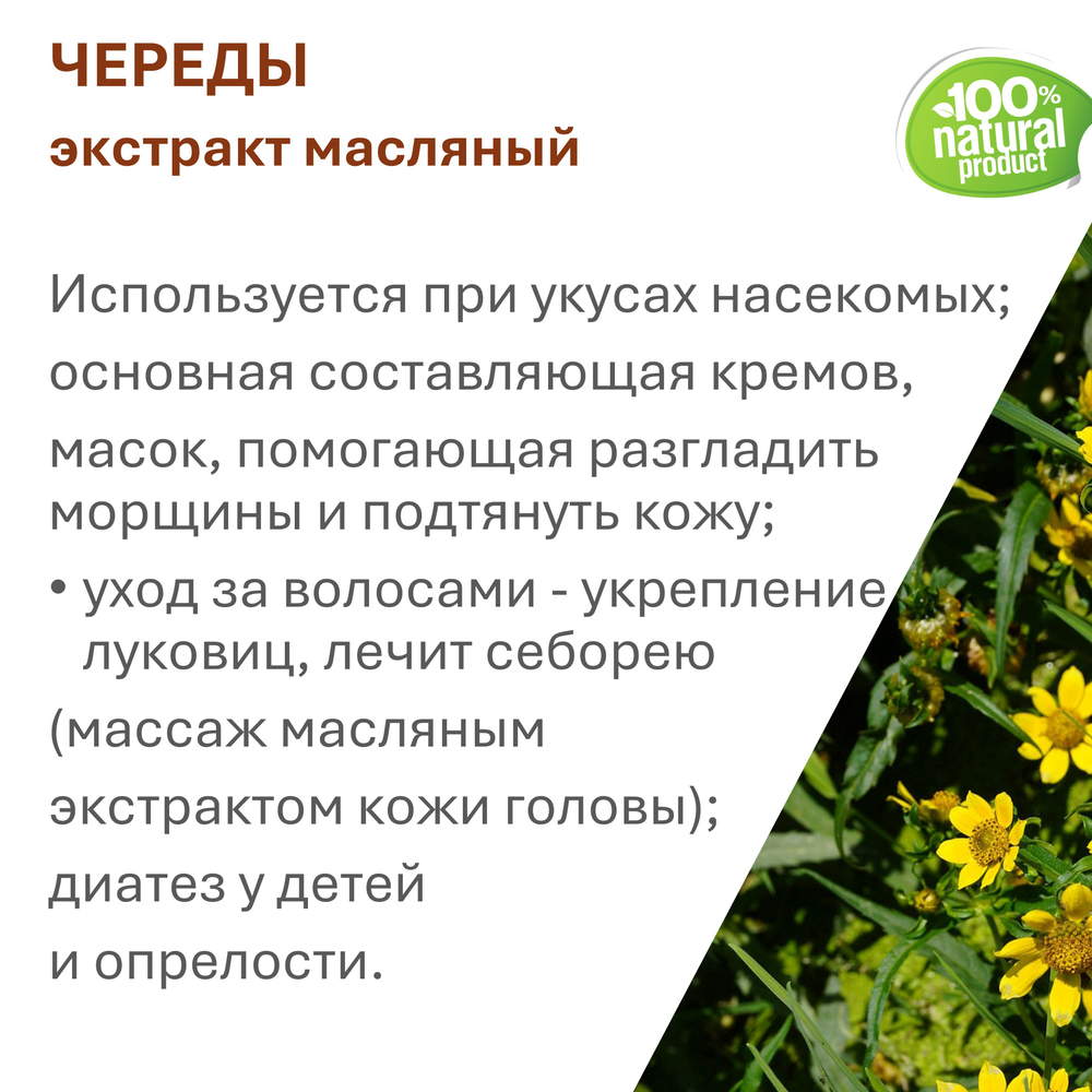 Экстракт череды, масляный