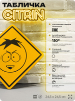 Табличка декоративная "Баттерс вампир" из сериала Южный парк, South Park на дверь и стену, прикольная штука в подарок фанату, декоративный знак, 24,5х24,5 см, CITRIN / ЦИТРИН, Айдентика Технолоджи