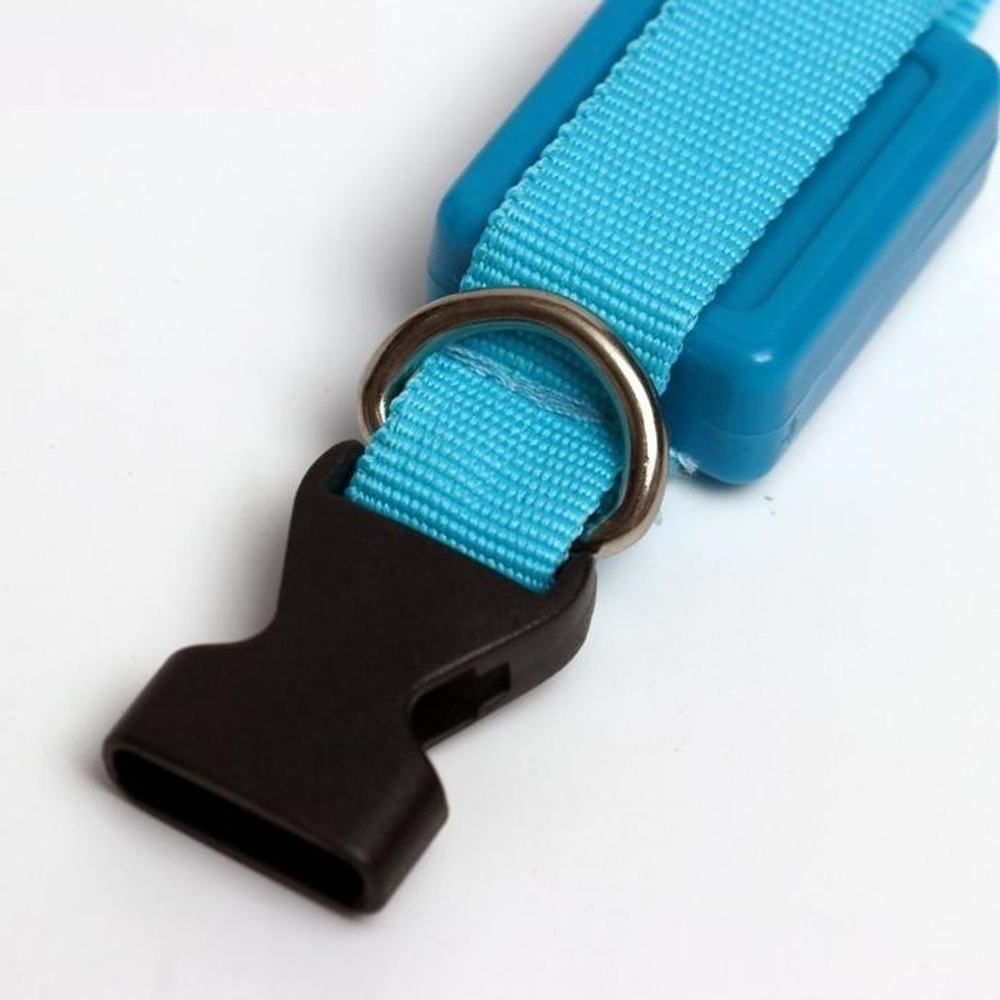 Ошейник светящийся узкий для небольших собак, 3 режима, 26см, Голубой