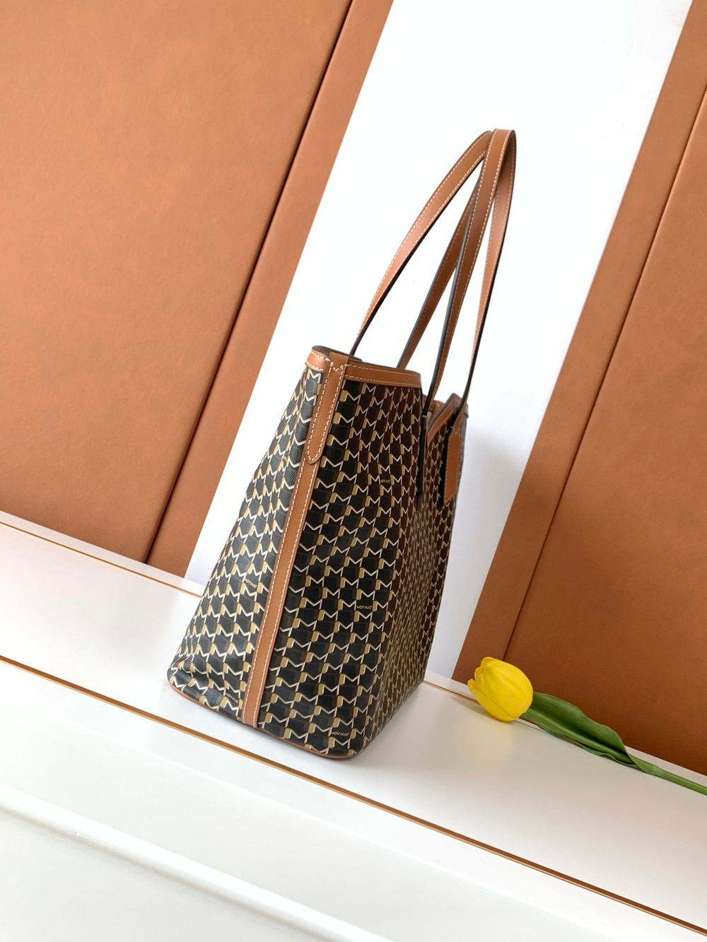 Moynat M Tote MM