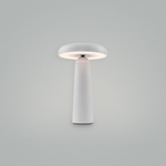 Настольная лампа светодиодная Freya Mushroom FR6109TL-L4W