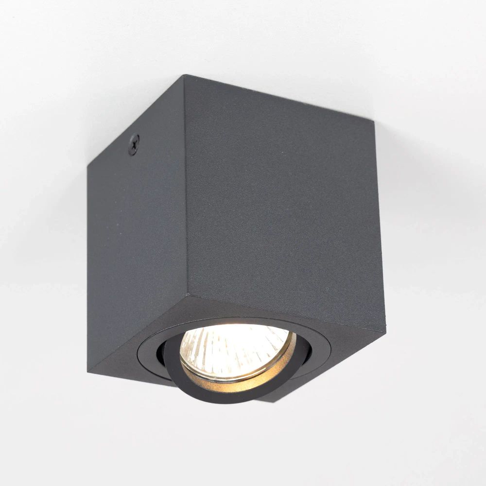 Citilux Дюрен CL538213 Светильник накладной поворотный Чёрный