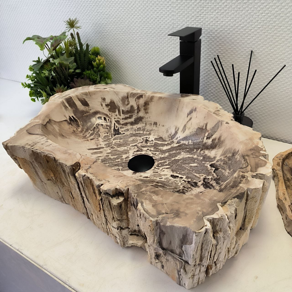 Раковина из окаменелого дерева FossilBasin OD-62401 62*41*14