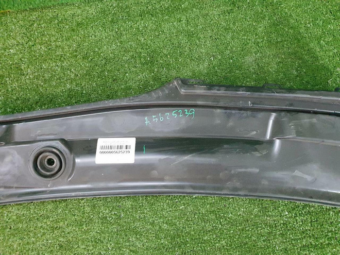 Жабо BMW X5 G05 (2018-н.в.)