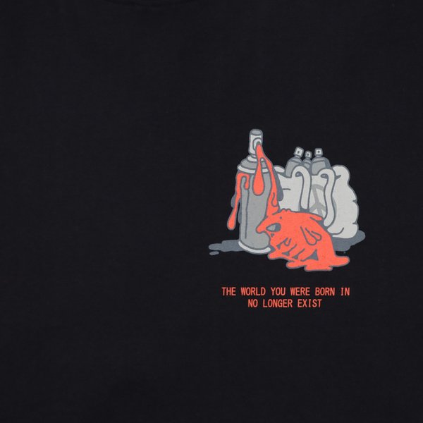 Футболка Anteater Tee 388 the world (black) артикул: - купить в магазине Дайс