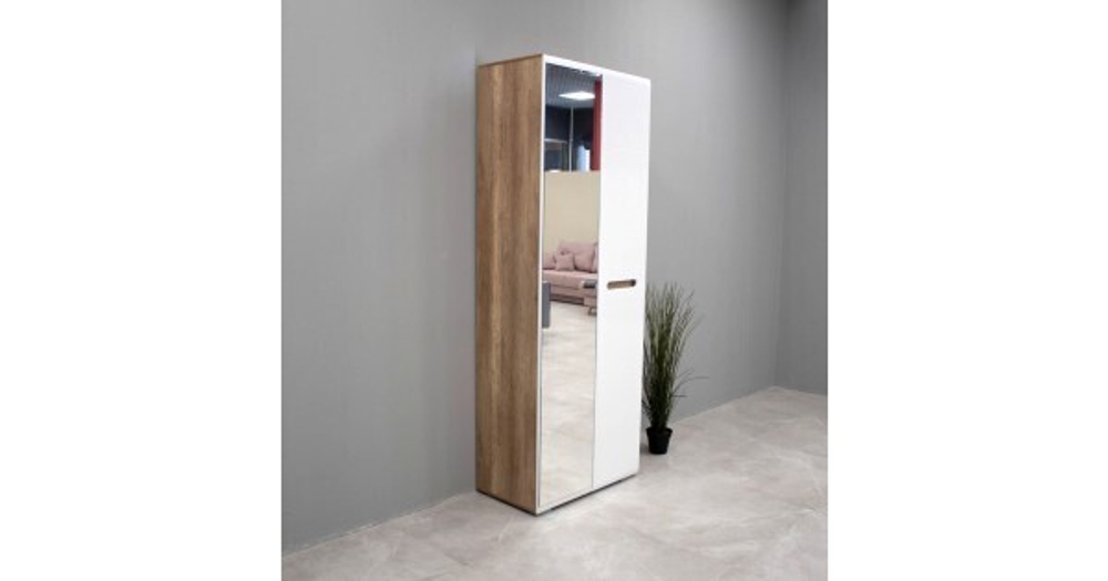 Шкаф распашной Наоми ШК-22 дуб каньон/белый