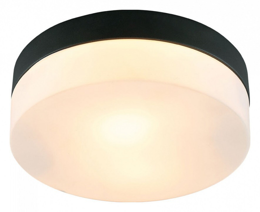 Накладной светильник Arte Lamp A6047PL-2BK