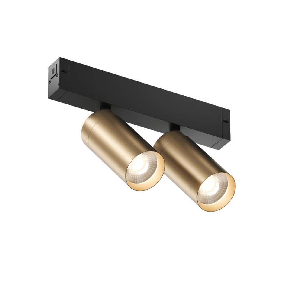Светильник на шине Denkirs DK8012-BG