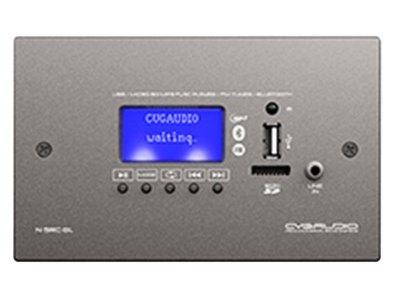 CVGAUDIO N-SRC-BL внешний универсальный настенный источник сигнала