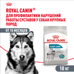 Royal Canin Maxi Joint Care Макси Джойнт кэа Корм сухой для взрослых собак крупных размеров с повышенной чувствительностью суставов 3кг