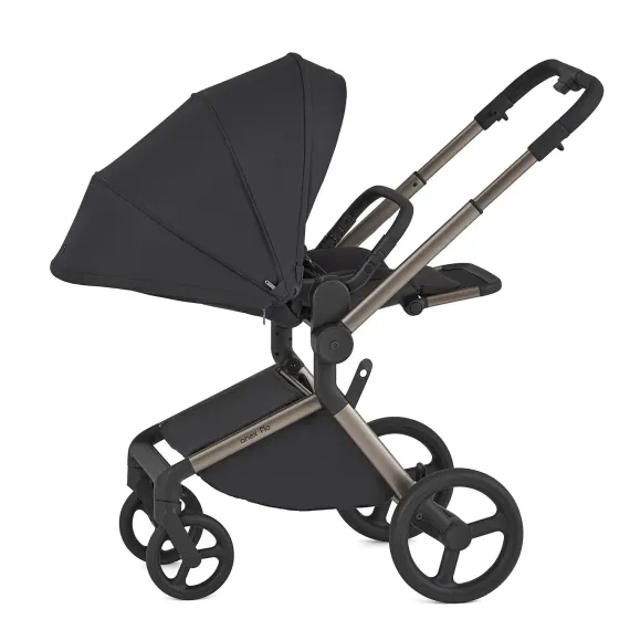 Коляска ANEX Flo 2 в 1 Solo