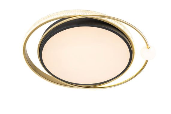 Потолочный светодиодный светильник Arte Lamp Albireo A2658PL-58BK