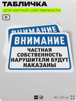 Табличка для частной территории "Частная собственность, нарушители будут наказаны", на дом, для участка, организаций, предупреждающая, 40х30 см, Silver Plane x Айдентика Технолоджи