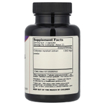 Dragon Herbs, кордицепс, 450 мг, 100 вегетарианских капсул