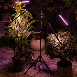 ULT-P32-36W-SPLE-TM-40 IP40 BLACK QUAD Светильник для растений светодиодный с таймером. на штативе. Спектр для фотосинтеза. TM Uniel