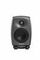 Genelec 8020DPM