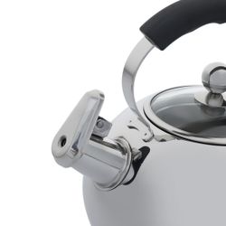 Чайник для плиты Gipfel Mattino 8605 2,5 л