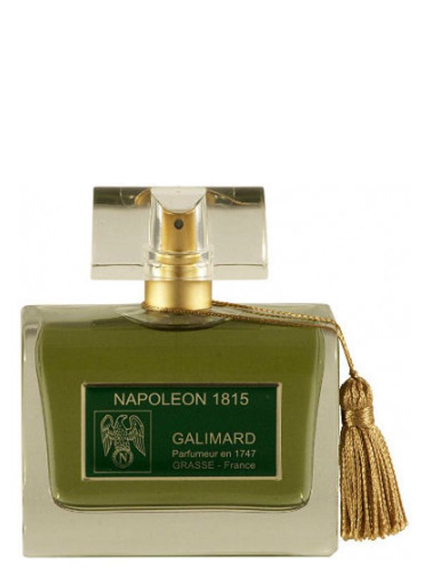 Galimard Napoleon 1815