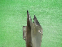 DSCN8518.JPG