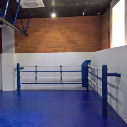 Имитация ринга Fighttech