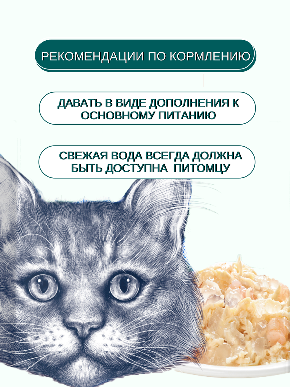 Wanpy Cat Пауч для кошек из курицы и гребешка 85 г