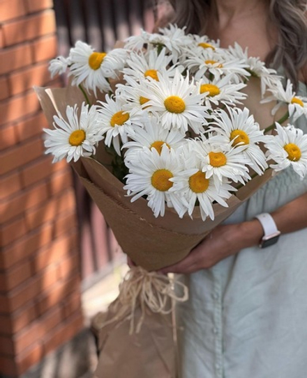 Букет из 25 королевских ромашек