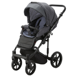 Коляска 2 в 1 Adamex Amelia