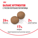 Royal Canin MAXI ADULT питание д/ взрослых собак крупных размеров 15 кг
