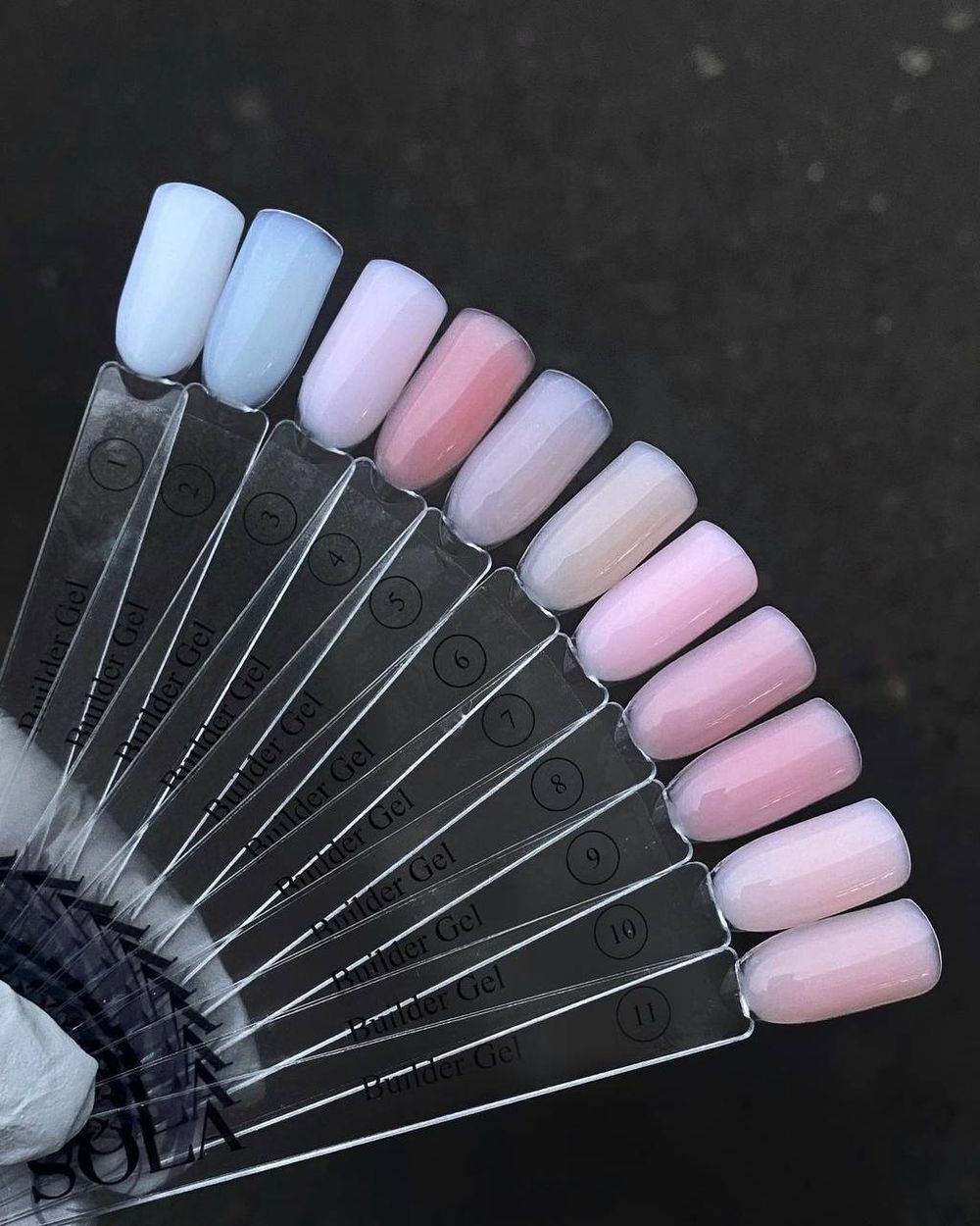 photo_5325603497233729097_y