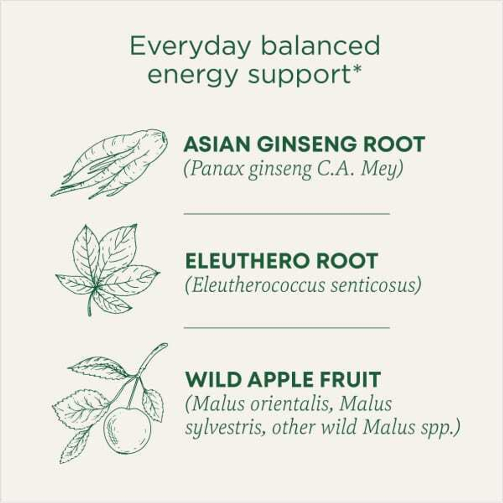 Traditional Medicinals, Organic Stress Ease® Focus, женьшень, дикое яблоко и мята, без кофеина, 16 чайных пакетиков в упаковке, 28 г (0,99 унции)