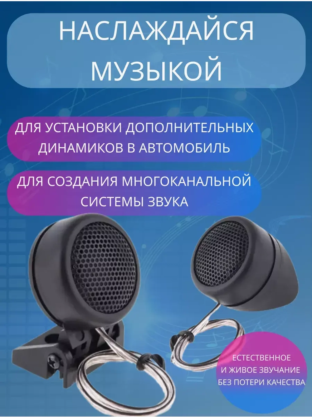 Динамики автомобильные пищалки твитеры CTC366G
