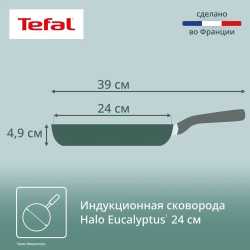 Сковорода Tefal Halo Eucalyptus 24 см G0160402