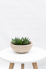 Кашпо Terra Circle